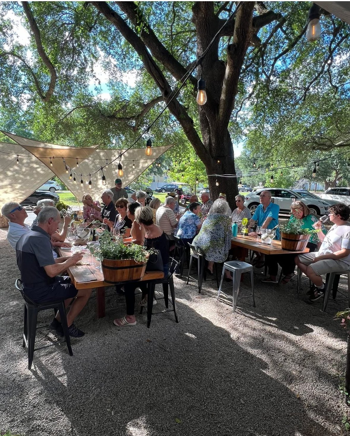 Solo Vino Marchand outdoor gathering